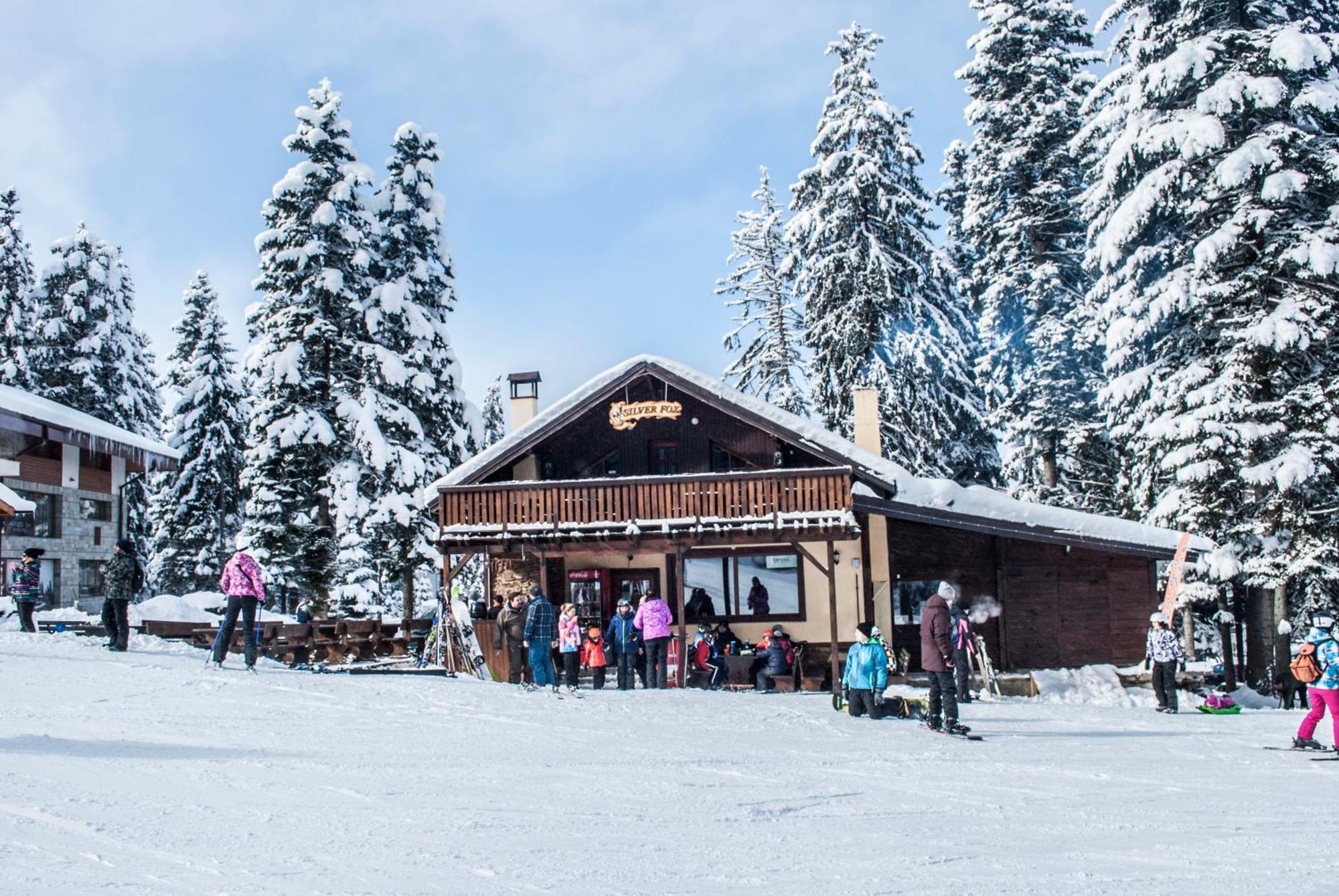 Alpine Ski Chalet Borovets With Sauna المظهر الخارجي الصورة