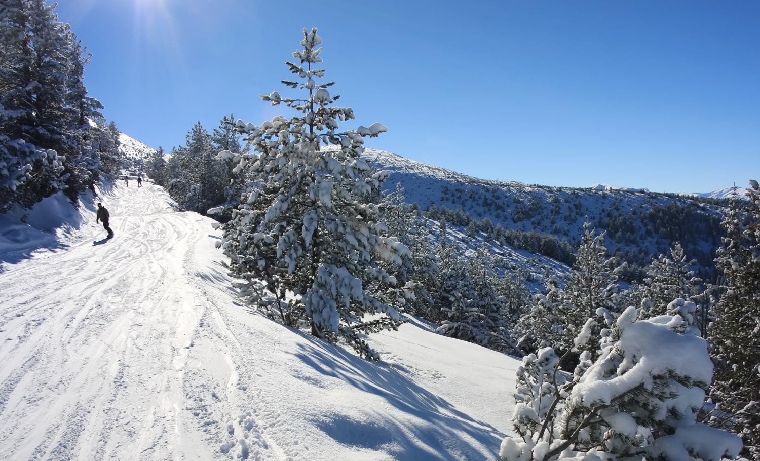 Alpine Ski Chalet Borovets With Sauna المظهر الخارجي الصورة