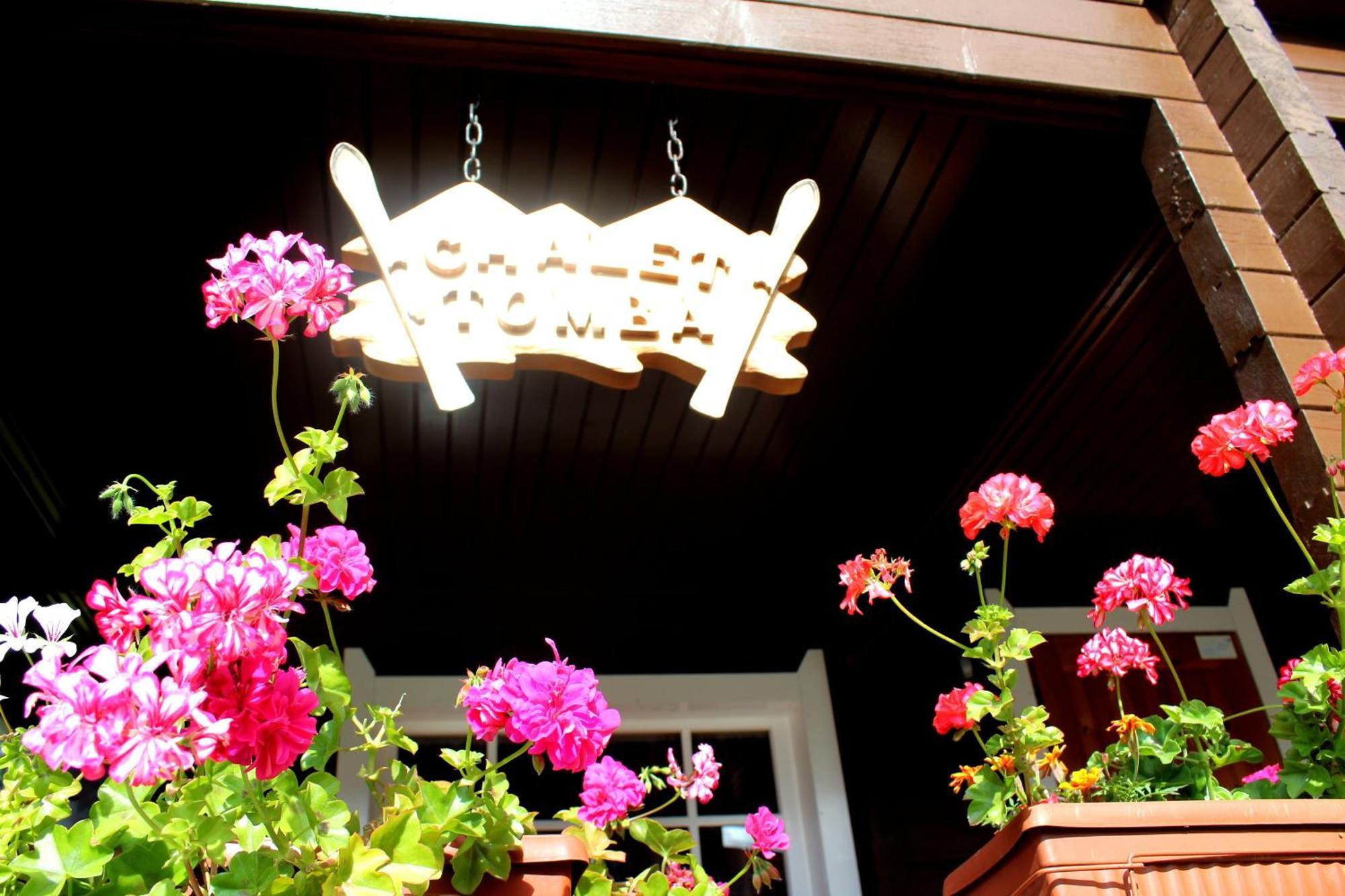 Alpine Ski Chalet Borovets With Sauna المظهر الخارجي الصورة