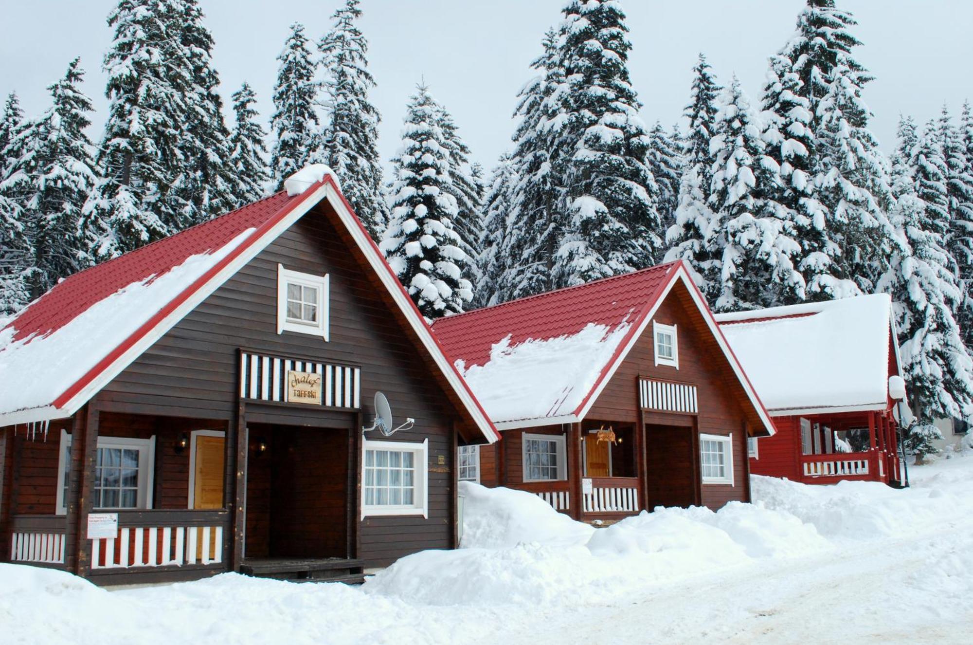 Alpine Ski Chalet Borovets With Sauna المظهر الخارجي الصورة
