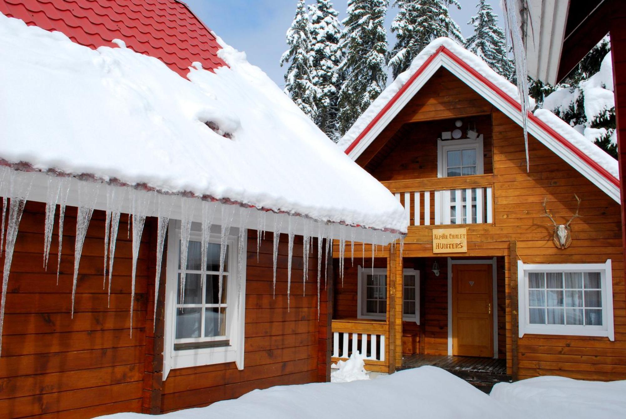 فيلا Alpine Ski Chalet Borovets With Sauna الغرفة الصورة